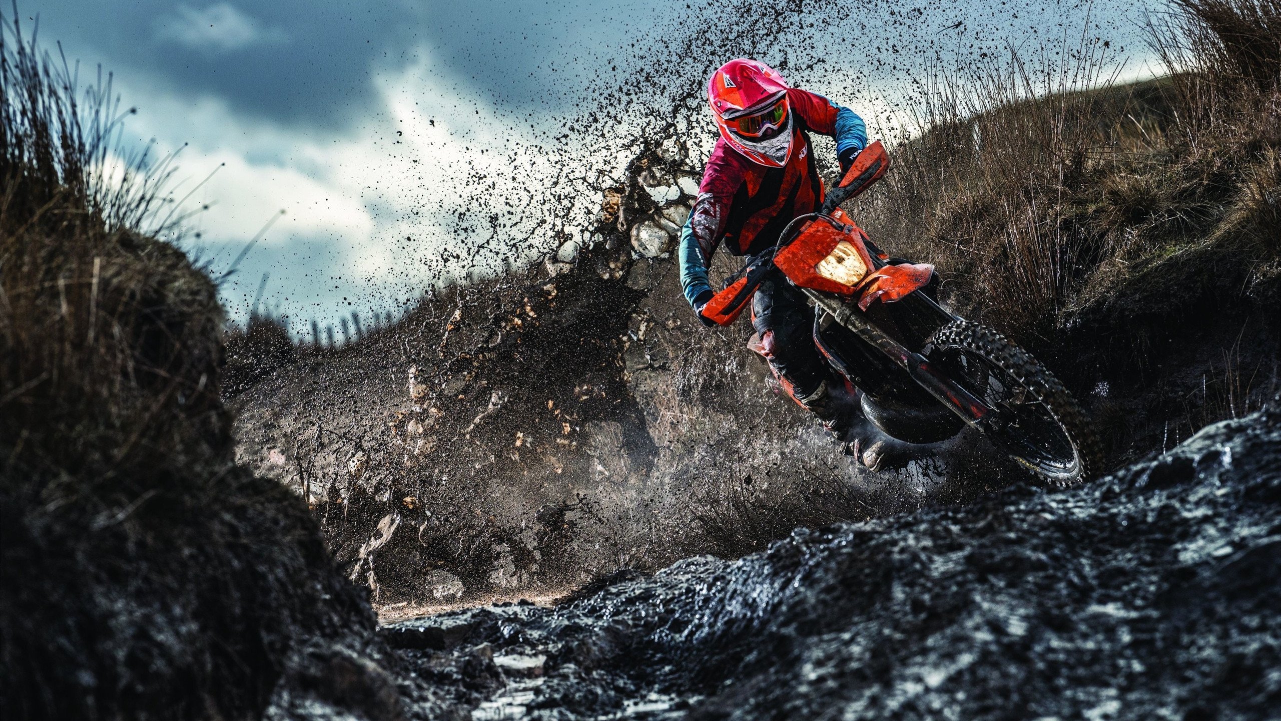 鹈鹕展翅击溃老鹰，克莱节奏掌控定乾坤